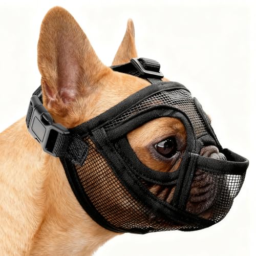 Französische Bulldogge Maulkorb, Maulkorb Kleine Hunde Maulkörbe Giftköderschutz Hund Mesh Dog Muzzle Anti Biting Kauen Bellen Hundemaulkorb mit Abgeflachter Schnauze Deutscher (M)