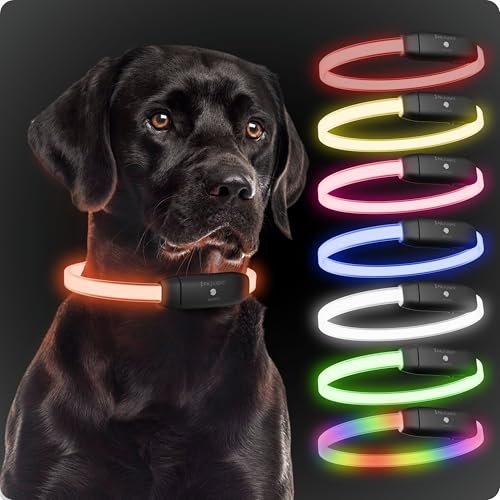 PAJ Light LED Collar - Stark leuchtendes Leuchthalsband für Hunde Aller Größen - individuelle Länge 20-70cm - 100% Wasserfest - 7 Farben - Sichtbarkeit & Sicherheit bei Nacht, schwarz