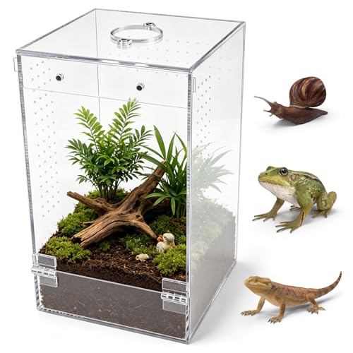 Homtone Acryl Terrarium, Springspinne Terrarium, 15×15×25cm