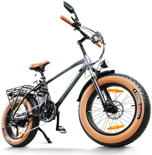 HANEVEAR E Bike Herren Damen, 18Ah/48V Batterie E Fatbike, 250W Motor & 80Nm, Reichweite bis 80-120 km, E-Mountainbike 20x4.0'' Offroad EBIKE für Jedes Gelände, mit LCD-Display