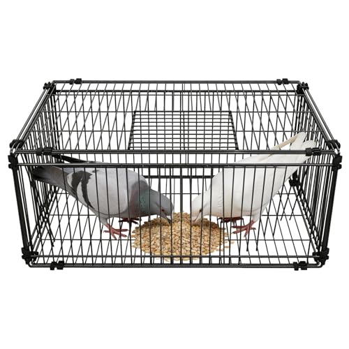 Faltbarer Taubenkäfig mit Einweg-Eingang & Dachluke – Robuster Taubenkäfig für Garten, Balkon & Hof – Zusammenklappbare Voliere (60x40x26 cm)