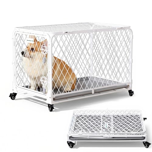 Gardner Pet Hundekäfig faltbar, Hundebox aus Diamantgitter, montagefreie Transportbox Drahtkäfig mit 4 Rollen, ausziehbare Schale, tragbarer Transportkäfig für kleine/mittelgroße Hunde, 76x48x49 cm