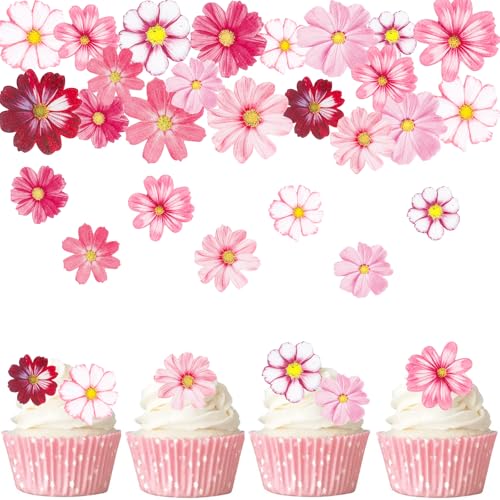 Gleevio Glücksblume Tortendeko Essbar,65 Essbare Blumen für Torte Rosa Weiß