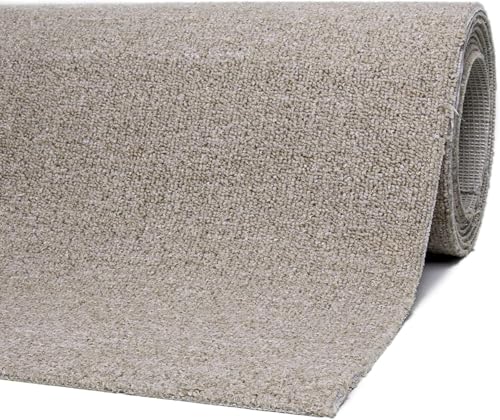 andiamo Teppichboden Henry - pflegeleicht und einfach zu verlegen - Auslegware Teppichboden - Meterware Bodenbelag in Schlingenstruktur mit Trittschalldämmung 200 x 350 cm Beige