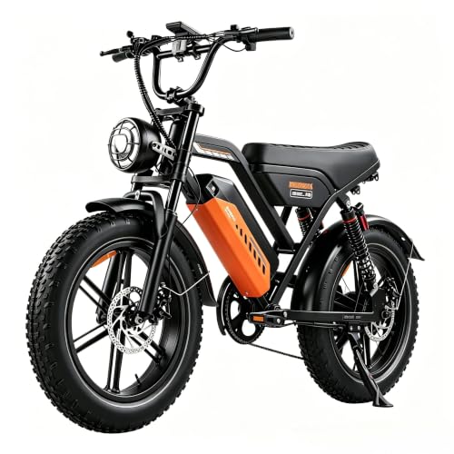 VDL E-Bike Damen Herren 36V/48V Akku, E Bike 14/16/20/26 Zoll, Scheibenbremsen, Federgabel, 25 km/h