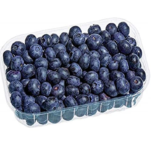 Bio Heidelbeeren, 300 g