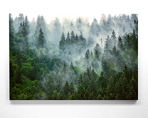 Atemberaubendes Leinwandbild Wald im XXL Format 120x80cm. Das Motiv Nebelstimmung als großes Wandbild. Fertig aufgespannt auf Holzrahmen. Als Hintergrund und Deko für Wohnzimmer & Schlafzimmer