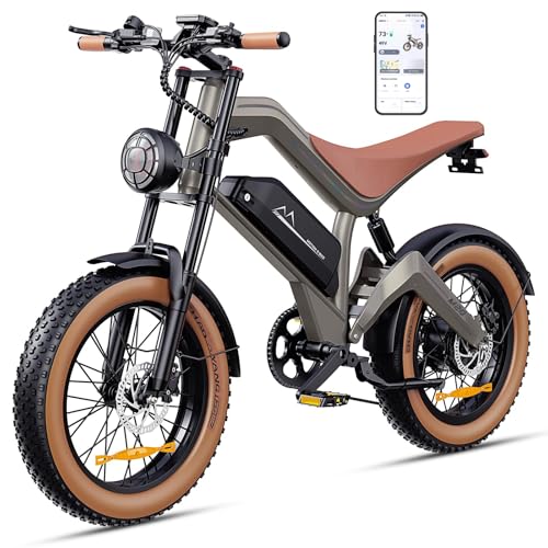 FREEJOYER E Bike Herren, 20 * 4.0