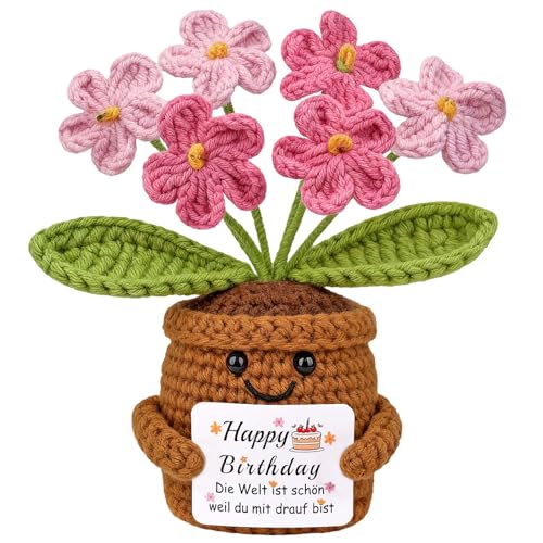 Mwmoeen Gestrickte Blumen Geburtstagsgeschenk für Frauen, Handgemachte Vergissmeinnicht Rosa Geburtstags Blumen, Pocket Hug Positive Geschenk für Freundin Frau Mama