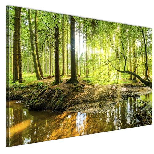 LUMASOUL Wandbilder Wohnzimmer Leinwandbild Wald Bäume Wald Natur 120x80 cm
