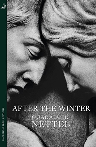 After the Winter (MacLehose Press Editions) (English Edition)
