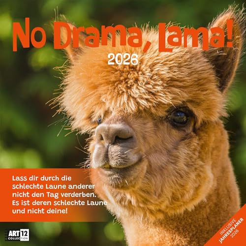 No Drama, Lama Broschürenkalender 2026 - 30x30 - Art12 | Humorvoller Tier-Kalender im schlanken Hochformat (aufgeklappt 30x60 cm) | zum Eintragen