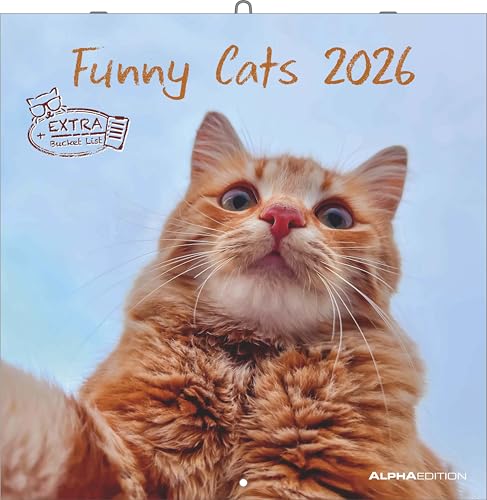 Alpha Edition - Funny Cats Kalender 2026 – Wandkalender 30x30 cm – Lustiger Katzenkalender für Katzenliebhaber – 12 witzige Katzenfotografien, viel Platz für Notizen, mit Feiertagen & Ferienterminen