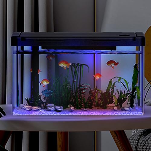 Crevyteg 12L Aquarium mit Filter und Licht, Rechteckiges Aquarium mit Filter und Sauerstoffzufuhr, LED-Licht, Mini Fischtank Tischdekoration für Zuhause, Büro, Wohnzimmer