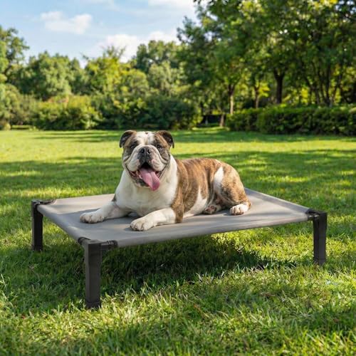 Hundebett outdoor