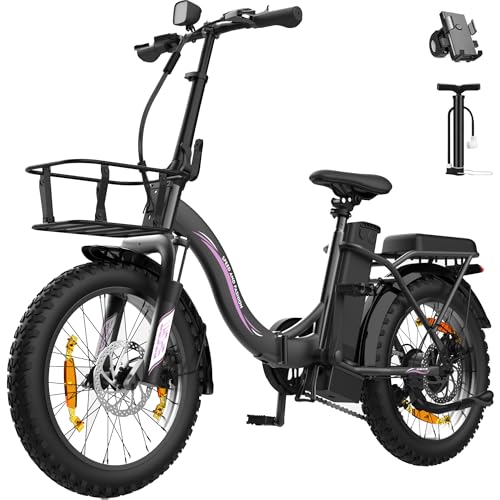 Runetic Elektrofahrrad für Erwachsene, 250W klappbares E-Bike mit 36V 13Ah Akku, Geschwindigkeit 25 km/h und Reichweite 80 km, 20