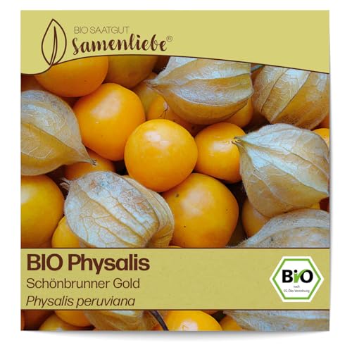 Samenliebe BIO Physalis Samen Schönbrunner Gold 10 Samen samenfestes Gemüse Saatgut für Garten Freiland und Balkon BIO Gemüsesamen