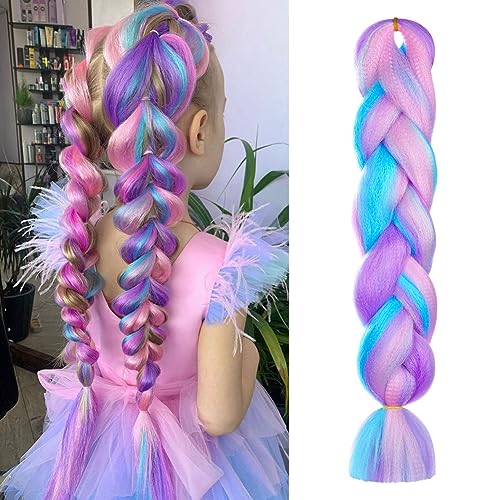 Aomig Braids Extensions, 4 Farben Kunsthaar zum Einflechten, 24