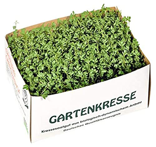 Bio Kresse, Stück