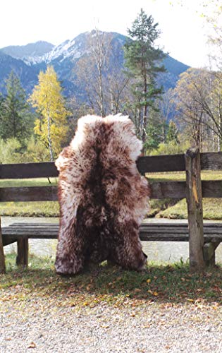 Felltrade Merino Schaffell Lammfell Fell echt groß 120-130 cm weiß-braun geflammt ökologische Gerbung