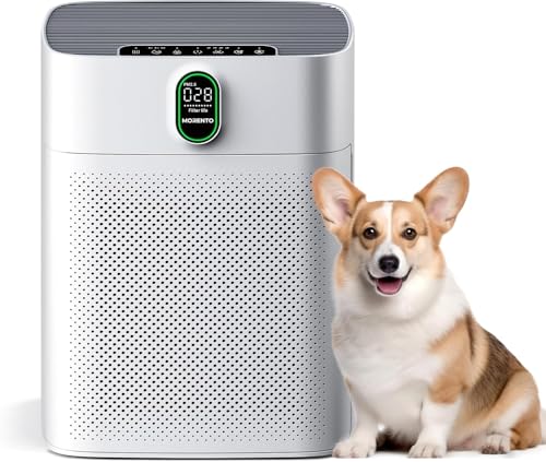 MORENTO Luftreiniger Allergiker mit HEPA Luftfilter gegen von Staub Pollen und Tierhaaren entfernen, CADR 300m³/h für 100㎡ Raucherzimmer