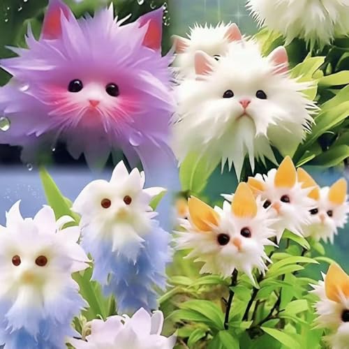 ZXZHYiYao 100pcs10 farbige Mischkatze Orchideensamen, Orchideensamen, Kätzchengesichtsform