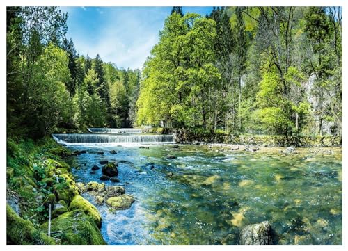WallArena - Vlies Fototapete Landschaft 400x280 cm - Fototapeten - Tapeten - für Wohnzimmer Schlafzimmer - Vliestapete Wandtapete Tapete 3D Effekt- inkl. Kleister - Wald See Natur