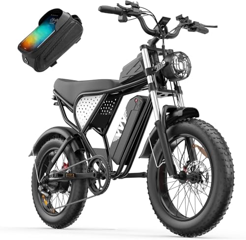 C20Elektrofahrrad für Erwachsene 52 V, 40 Ah/48 V, 20 Ah/48 V, 15,6 Ah, herausnehmbarer Akku, Reichweite 50–180 Meilen, 2,0 × 4 breite Reifen, Offroad-Motorrad, All-Terrain-Elektrofahrrad (C20lite)