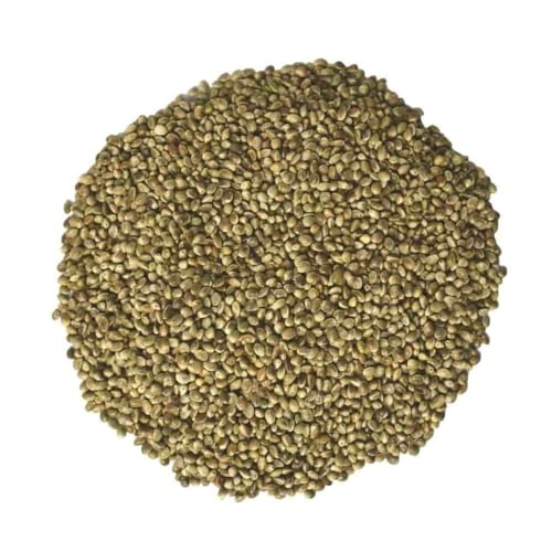 Hanfsaat Hanfsamen 10kg für Vögel, Nager und Pferde