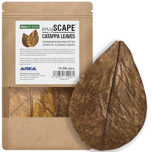 Seemandelbaumblätter Aquarium 8-12 cm - Catappa Leaves Nano 10 Stk. | für Nano- und Schwarzwasser-Aquarien, Laub mit Tanninen und Huminsäuren, für naturnahe Biotop-Becken