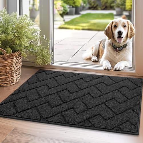 Biscpro Fußmatte Dunkelgrau 50x80cm Innen und Außen, Waschbar Fussmatt, Wasserdicht Türmatte, Rutschfester Schmutzfänger Teppich für Eingang, Haustür, Patio, Flur, Garten