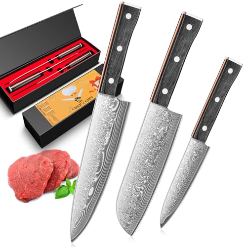 BILLION DUO Damastmesser set, Messerset 3-teilig, 67 Schicht VG10 Damaszener Stahl Küchenmesser Set, Profi Kochmesser, Santokumesser Set mit Harzgriff - D08 Serie