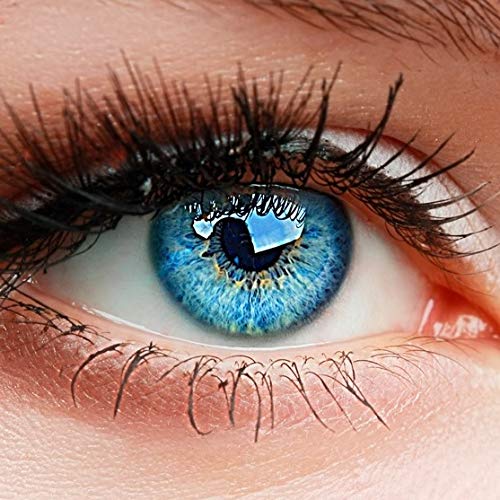 ELFENWALD farbige Kontaktlinsen, INTENSE, stark deckend, natürlicher Look (Azur Blau/Hellblau)