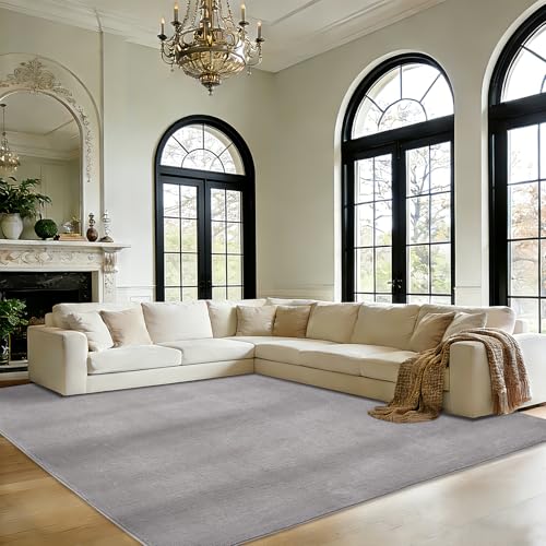 Novalife Teppich Kurzflor Teppich für Wohnzimmer,Weich Waschbarer & Anti-Rutsch Modern Shaggy Carpet für Schlafzimmer, Kinderzimmer