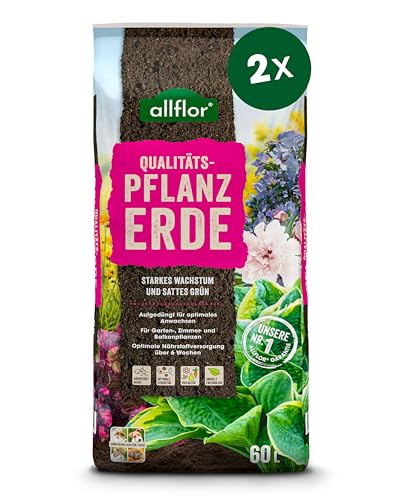 Allflor Pflanzerde I 2 x 60 Liter Beutel I Erde gebrauchfertig, aufgekalkt, aufgedüngt I Blumenerde für Pflanzungen im Garten oder im Kübel I Schnelles und optimales Wachstum