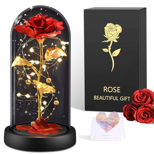 BOLEi Geschenke für Frauen, Ewige Rose im Glas, Schöne und das Biest Roses, Hochzeitstag Geschenkes für Frau,Freundin (Klassische Rote Rose-)