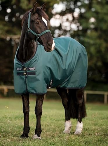 Horseware Amigo Ripstop 900D Lite 0g Turnout Decke Dynasty Green/Navy & Silver, Deckengröße:145 cm / 6´6