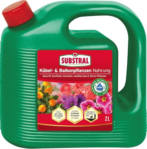 Substral Kübel- & Balkonpflanzen Flüssigdünger 2L Mit Eisen & Humifirst