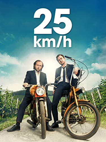 25 km/h