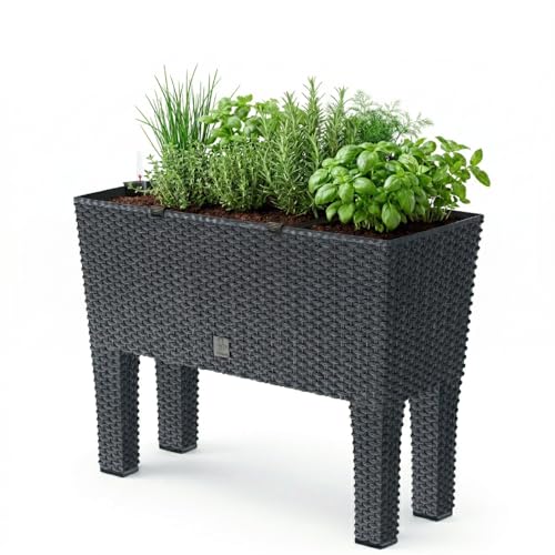 Prosperplast Blumenkasten Rato Case High inkl. Bewässerung und abnehmbaren Beinen, Anthrazit, 25 x 60 x 46 cm, ideal für Innen- & Außenbereich