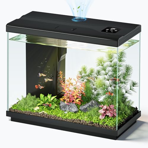 EVIEUN 8.3L Kampffisch Aquarium, Nano Aquarium Komplettset Schwarz