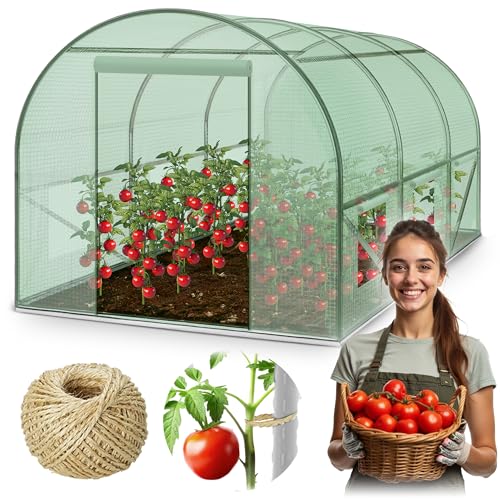 Plonos Garten-Gewächshaus Tunnel 2 × 3 m - 6 m² Folientunnel mit Stahlrahmen | PE-Folie 140 g/m² UV-beständig | 6 Fenster mit Moskitonetz | Pflanzenschutz | Grün