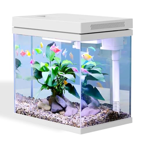 13.5L Weißglas Fischtank Aquarium mit LED-Leuchten & Filtersystem, Filtermedien, tropischeAquarien (13.5L)
