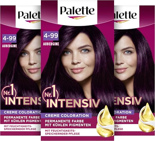 Palette Intensiv Creme Coloration 4-99/880 Aubergine (115 ml)