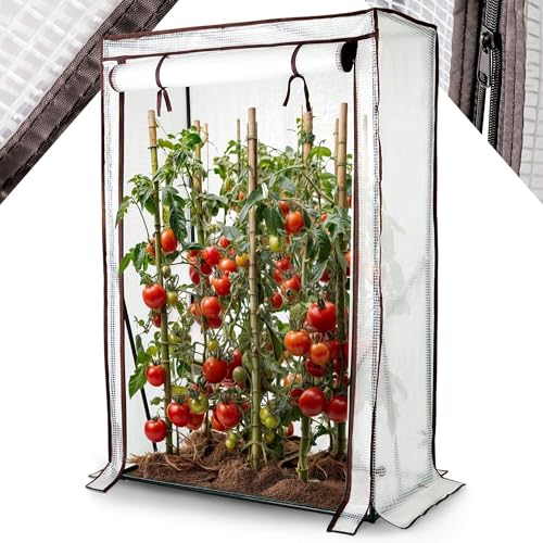 Arebos Tomatengewächshaus Foliengewächshaus | Gewächshaus klein | Tomatenhaus, Treibhaus mit Tür zum Aufrollen | 100 x 50 x 150 cm Frühbeet, Gemüse, Blumen, Obst, Garten | Gewächshausfolie