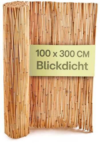Praknu Schilf Balkon Sichtschutz Holz - FSC® Zertifiziertes, Natürliches Schilf - Einsetzbar Im Innen- Und Außenbereich - Sichtschutz für Garten, Balkon - 100 x 300cm - Zaun Sichtschutz aus Bambus