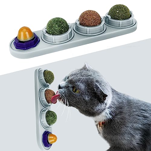 TOHDNC Katzenminze Ball für Katzenwand, 4 Stück Katzenminze Spielzeug, Essbare Kätzchen Spielzeug, Extra Katzen Energieball für Katzen lecken, gesunde Kätzchen Zähne Reinigung, Zahn Kauspielzeug