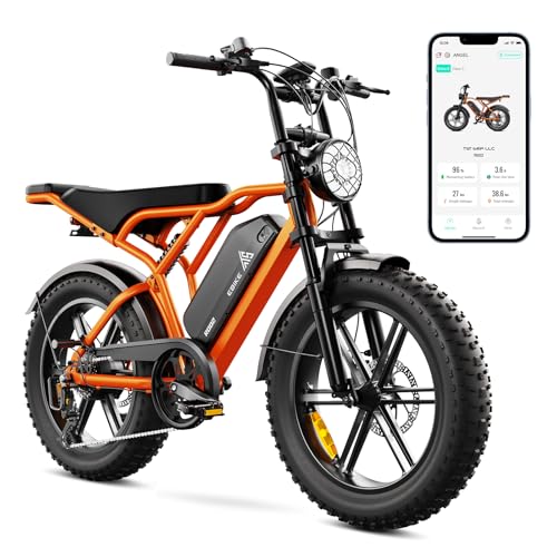 TST E Bikes Mountainbike Fatbike 20 Zoll Elektrofahrrad Herren Damen Elektro Fahrrad mit APP-Steuerung und Federung, E Fatbike 48V 15Ah Batterie 250W Motor 25km/h E Fahrrad