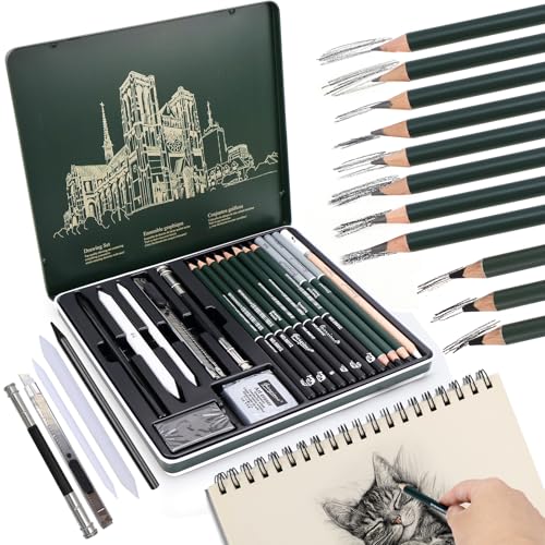 BINYI Skizzen Zeichen Bleistift Set Zeichenstifte Professionell Zeichenset Malset mit Graphitstift Kohlestifte für Zeichnen Skizzieren für Künstler Erwachsene Teenager 19 Stück