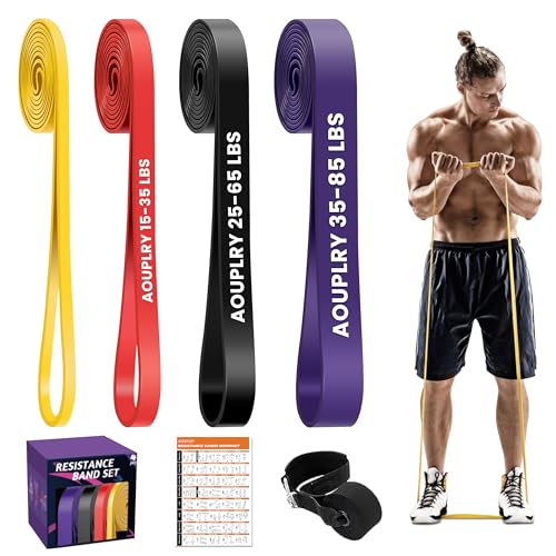 Aouplry Fitnessbänder – 4-Stufen Resistance Bands Set mit Türanker, Terrabänder für Klimmzüge, Krafttraining, Yoga & Stretching